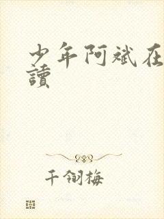 少年阿斌在线阅读