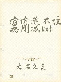 偷偷藏不住番外无删减txt