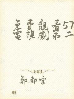 免费观看57集电视剧第二次也很美封面