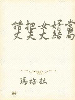 错把女婿当成了丈夫大结局