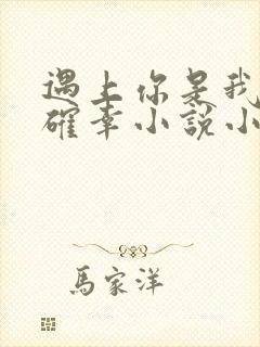 遇上你是我的小确幸小说小说