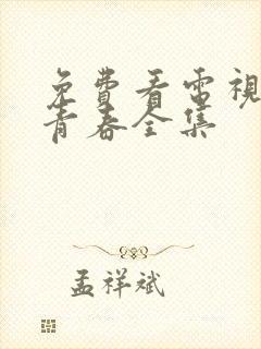 免费看电视剧正青春全集封面