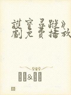护宝寻踪》电视剧免费播放全集封面
