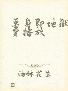 单身即地狱1免费播放