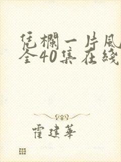 凭栏一片风云起全40集在线观看