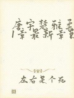 唐宇楚雅柔351章最新章节免费阅读下