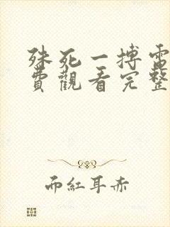 殊死一搏电影免费观看完整版