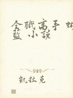 全职高手 蝴蝶蓝 小说