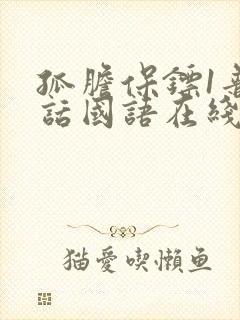 孤胆保镖1普通话国语在线观看