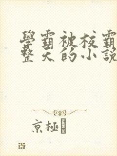 学霸被校霸罚一整天的小说封面