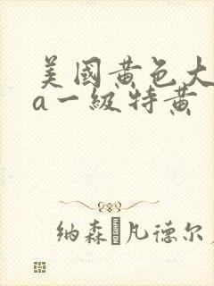 美国黄色大片aa一级特黄封面