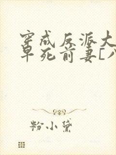 穿成反派大佬的早死前妻[八零]封面