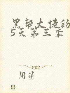 黑帮大佬的365天第三季