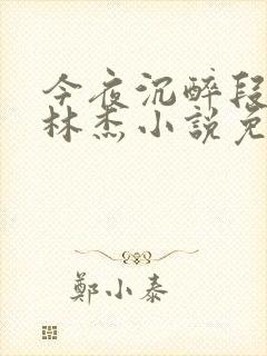 今夜沉醉段雪娇林杰小说免费阅读