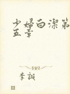 少妇白洁第二十五章