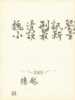 魏清刑讯刘惜芬小说最新章节更新时封面