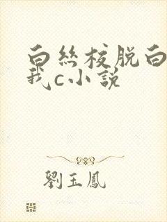 白丝校脱白丝让我c小说封面