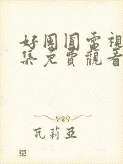 好团圆电视剧全集免费观看封面