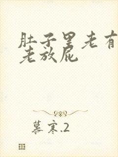 肚子里老有胀气老放屁封面