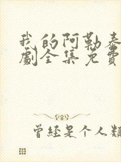 我的阿勒泰电视剧全集免费观看