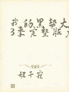 我的黑帮大佬第3季完整版免费观看高清