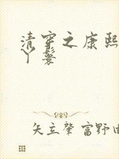 清穿之康熙贴身丫鬟封面