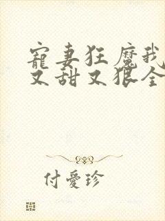 宠妻狂魔我老婆又甜又狠全文免费