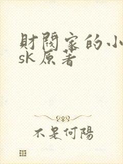 财阀家的小儿子sk原著