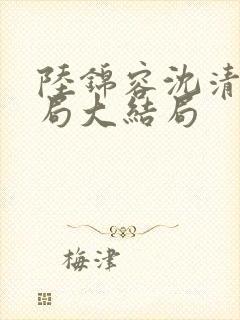 陆锦容沈清羽结局大结局