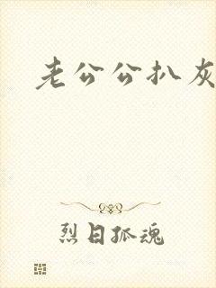 老公公扒灰小说