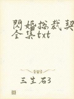 闪婚总裁契约妻全集txt