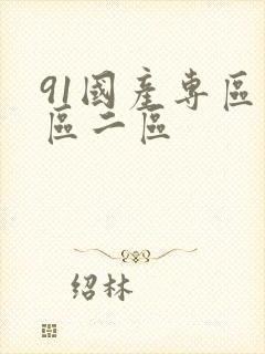 91国产专区一区二区