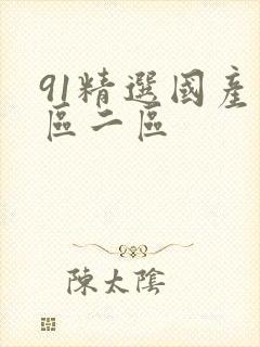 91精选国产一区二区