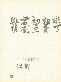 与君初相识 电视剧免费下载