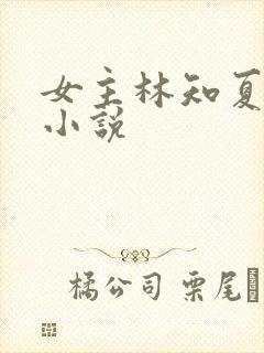 女主林知夏什么小说