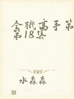 全职高手第三季第18集