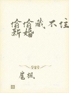 偷偷藏不住番外新婚