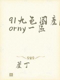 91九色国产porny一区