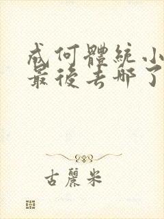 成何体统小太子最后去哪了封面