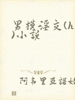 男模淫交(h高)小说