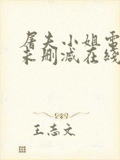 屠夫小姐电视剧未删减在线播放封面