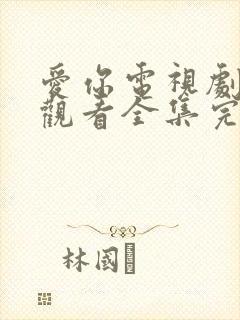 爱你电视剧免费观看全集完整版高清封面