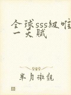 全球sss级唯一天赋封面