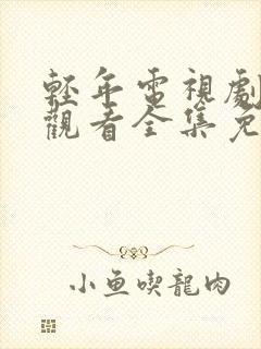 轻年电视剧在线观看全集免费流畅版封面