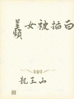 美女被插白浆视频封面
