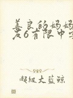 善良的妈妈的朋友6有限中字