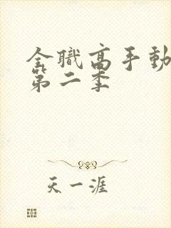 全职高手动漫版第二季封面