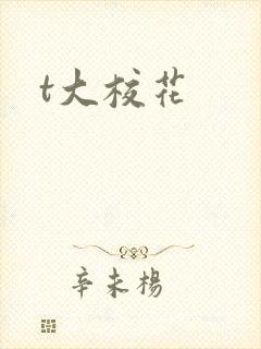 t大校花