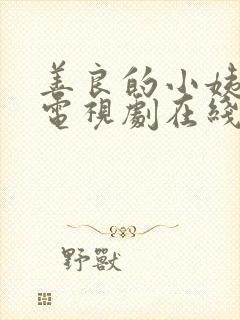 善良的小姨韩剧电视剧在线观看免费