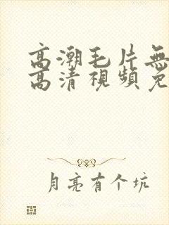 高潮毛片无遮挡高清视频免费播放